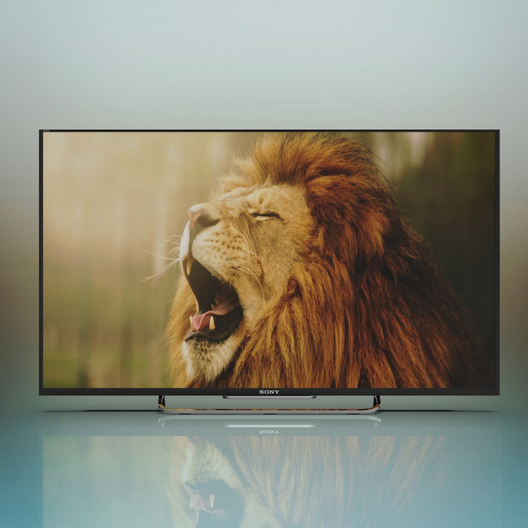 Sony Led Tv 3D - TurboSquid 1702796