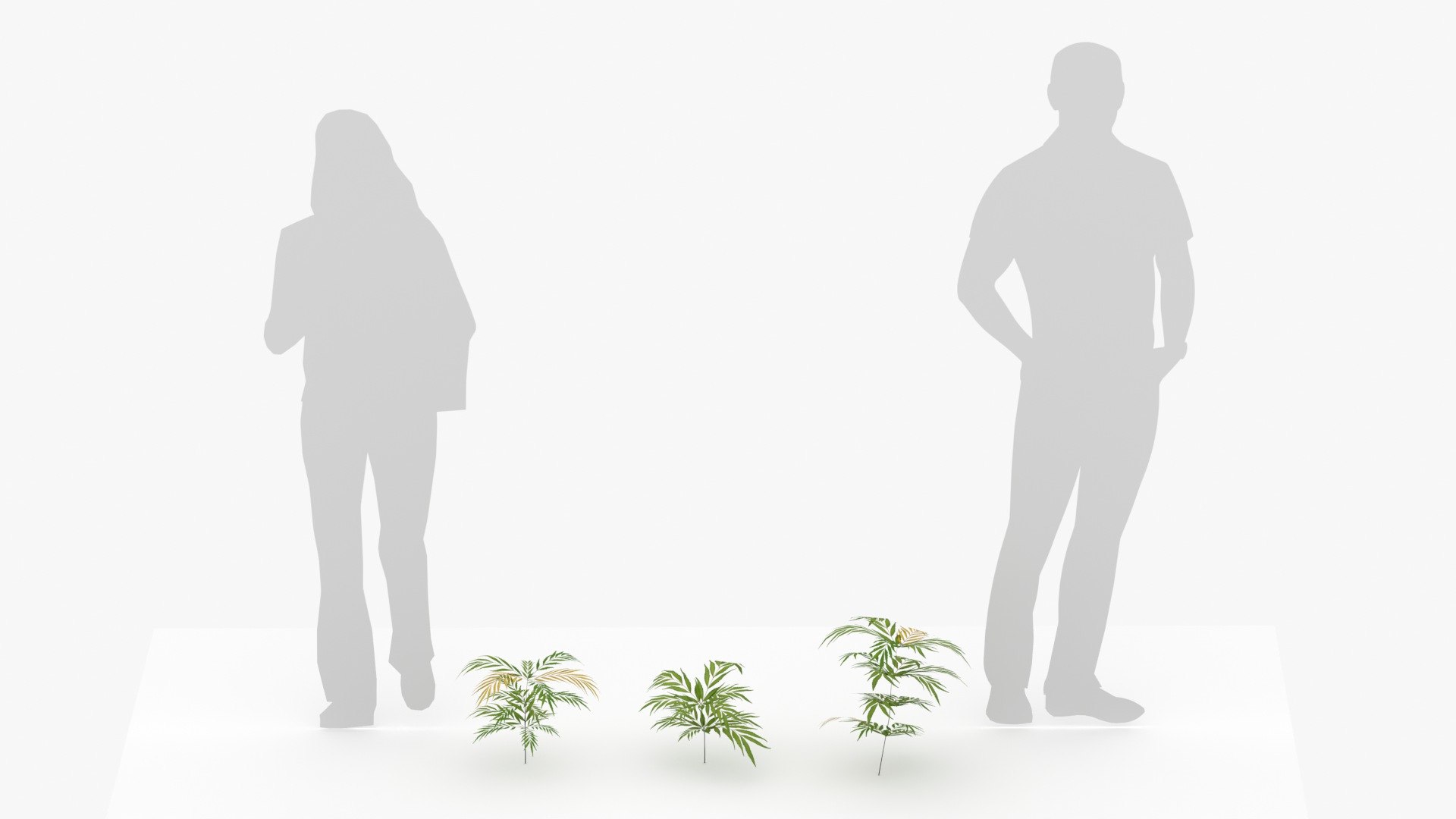 mahonia leaves gardens 3D model https://p.turbosquid.com/ts-thumb/N5/gWDis4/4o/image006/jpg/1607845333/1920x1080/fit_q87/740cf8f8c4c6ef4287914434831a7929ba4ac470/image006.jpg