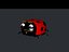 Lady Bug