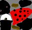 Lady Bug