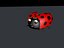 Lady Bug