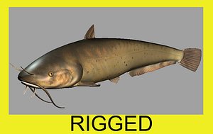 catfish