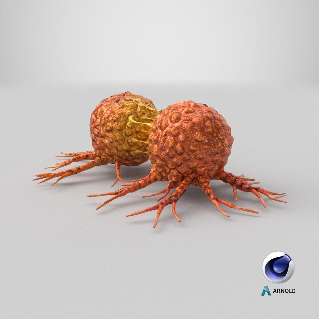 3D Cancer Cell Dividing model https://p.turbosquid.com/ts-thumb/N5/noqLHg/1n/stemcell_cinema_4d_arnold_render/png/1711967186/1920x1080/fit_q87/9463e929d802c7eb0e8abb71001e7b19a9df4e58/stemcell_cinema_4d_arnold_render.jpg