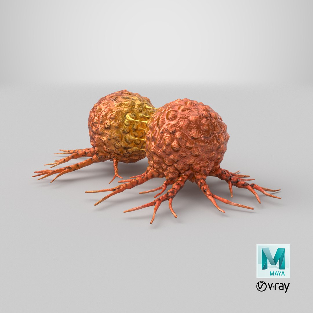 3D Cancer Cell Dividing model https://p.turbosquid.com/ts-thumb/N5/noqLHg/HC/stemcell_maya_vray_render/png/1711967185/1920x1080/fit_q87/42e9e462a6d95d2e272afe4b71d3e9dab713f862/stemcell_maya_vray_render.jpg