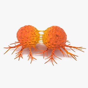 Cancer Cell Dividing