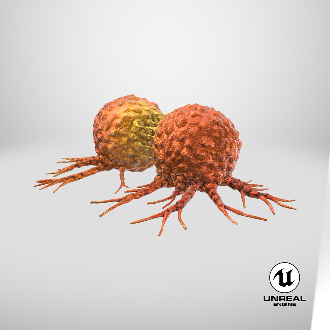 3D Cancer Cell Dividing model https://p.turbosquid.com/ts-thumb/N5/noqLHg/XM/stemcell_unreal_render/png/1711967193/1920x1080/fit_q87/822704246b10b667e1130ab21e04f7ae8759f665/stemcell_unreal_render.jpg