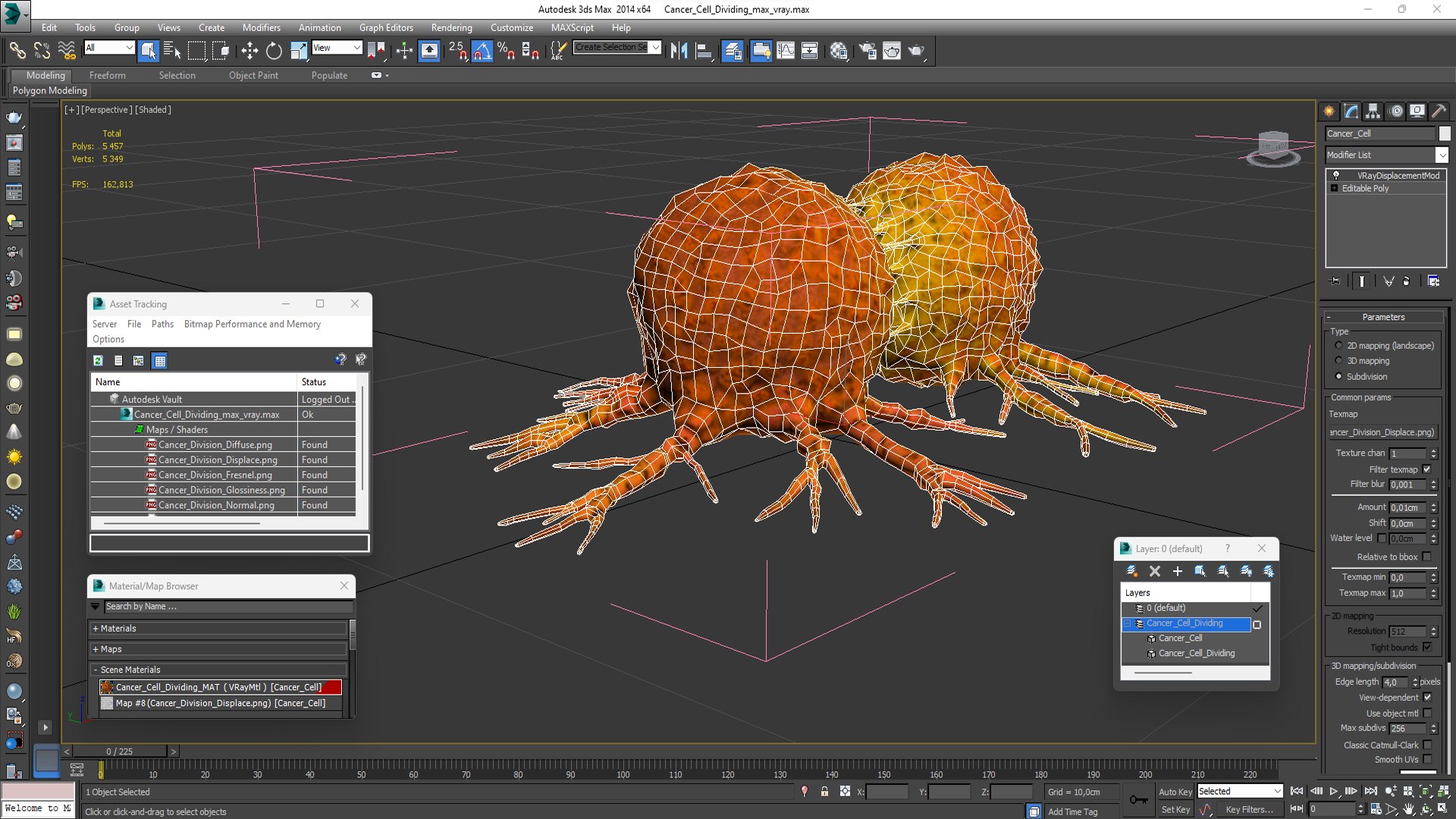 3D Cancer Cell Dividing model https://p.turbosquid.com/ts-thumb/N5/noqLHg/uh/cancercelldividing3dsmodel020/jpg/1709946082/1920x1080/fit_q87/2843d55b6a5509d6bbb6dc47681fa8b741d8a22a/cancercelldividing3dsmodel020.jpg