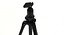 3d model of generic camera tripod
