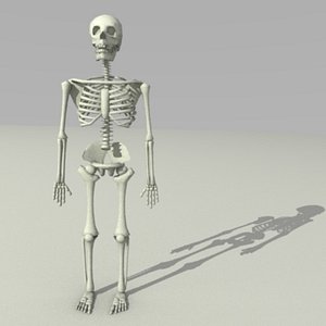 blend skeleton