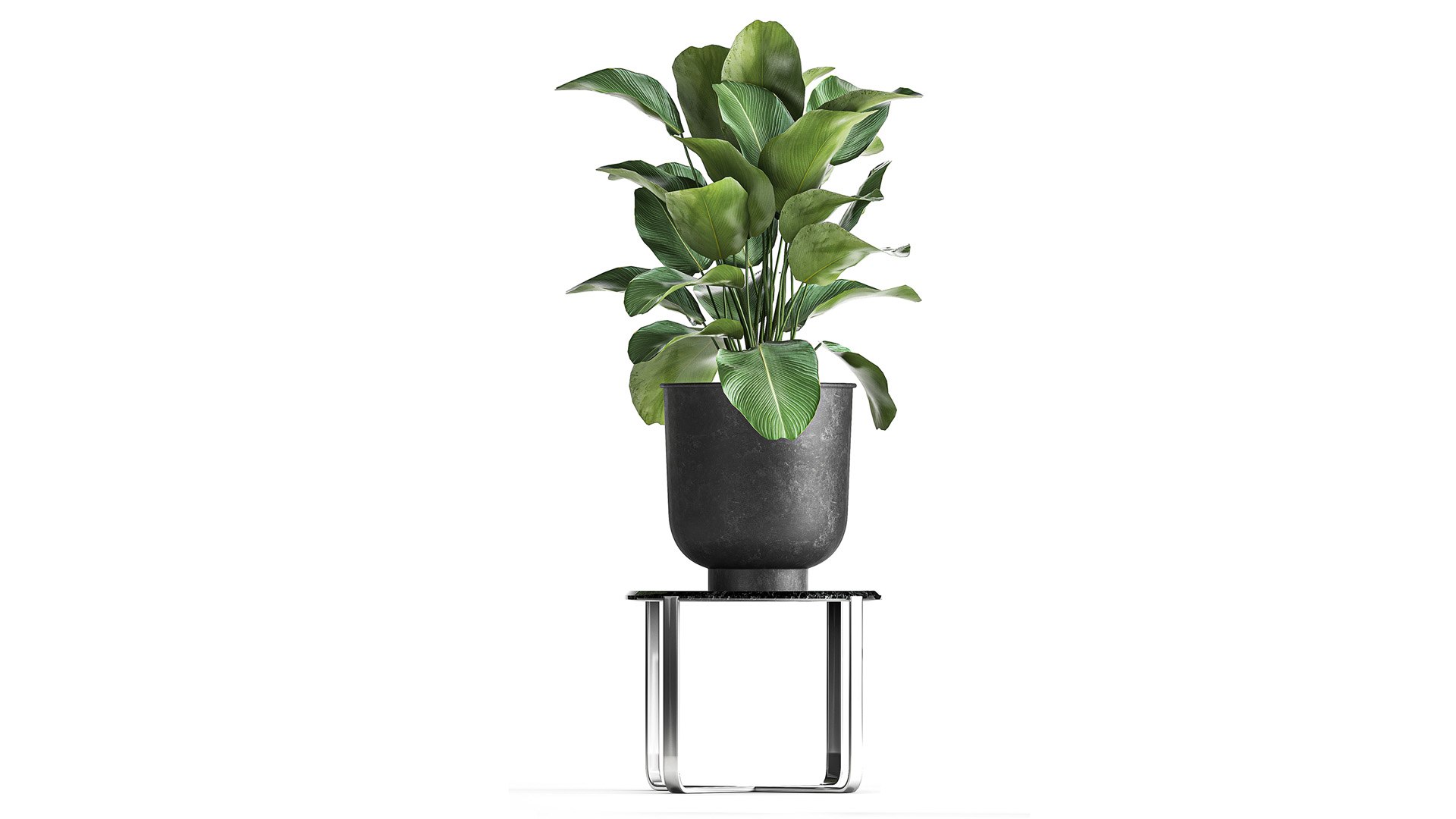 3D plants interior pots planter model https://p.turbosquid.com/ts-thumb/N5/yB6twL/3P/1plants22502202105/jpg/1614350167/1920x1080/fit_q87/936c88839dca4224445ed80d8bacd516abb531a0/1plants22502202105.jpg