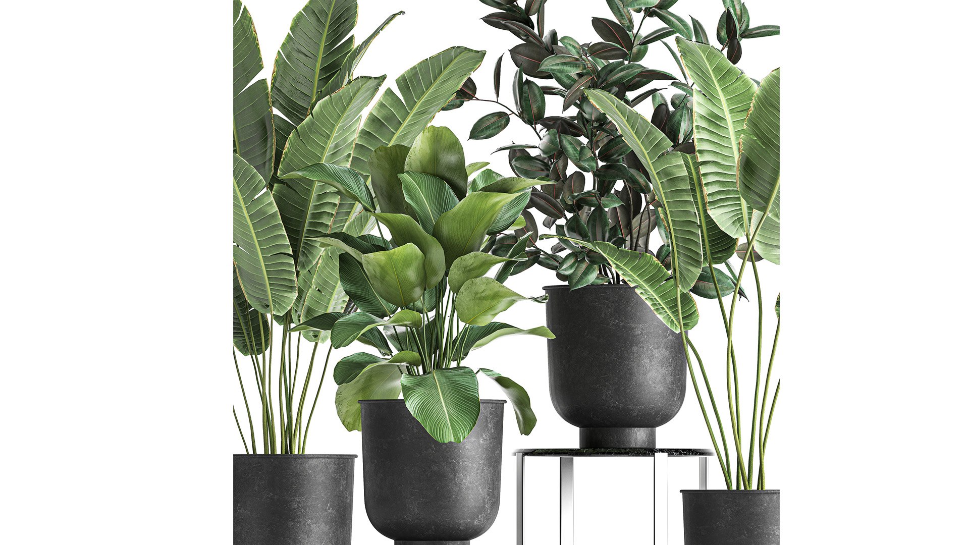 3D plants interior pots planter model https://p.turbosquid.com/ts-thumb/N5/yB6twL/6j/1plants22502202102/jpg/1614350171/1920x1080/fit_q87/b340977b0c3fb19733b43989bb170468da6e2a66/1plants22502202102.jpg