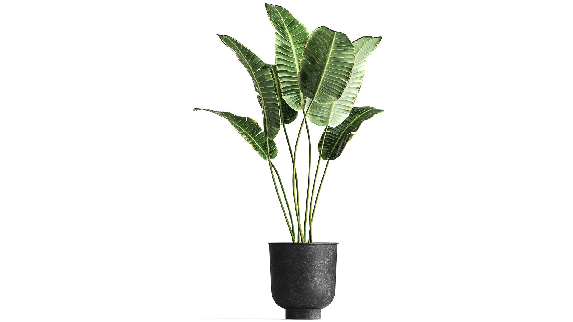 3D plants interior pots planter model https://p.turbosquid.com/ts-thumb/N5/yB6twL/Hf/1plants22502202107/jpg/1614350170/1920x1080/fit_q87/47a7e6f0943a4d288ce3a83698f7abae706259e8/1plants22502202107.jpg