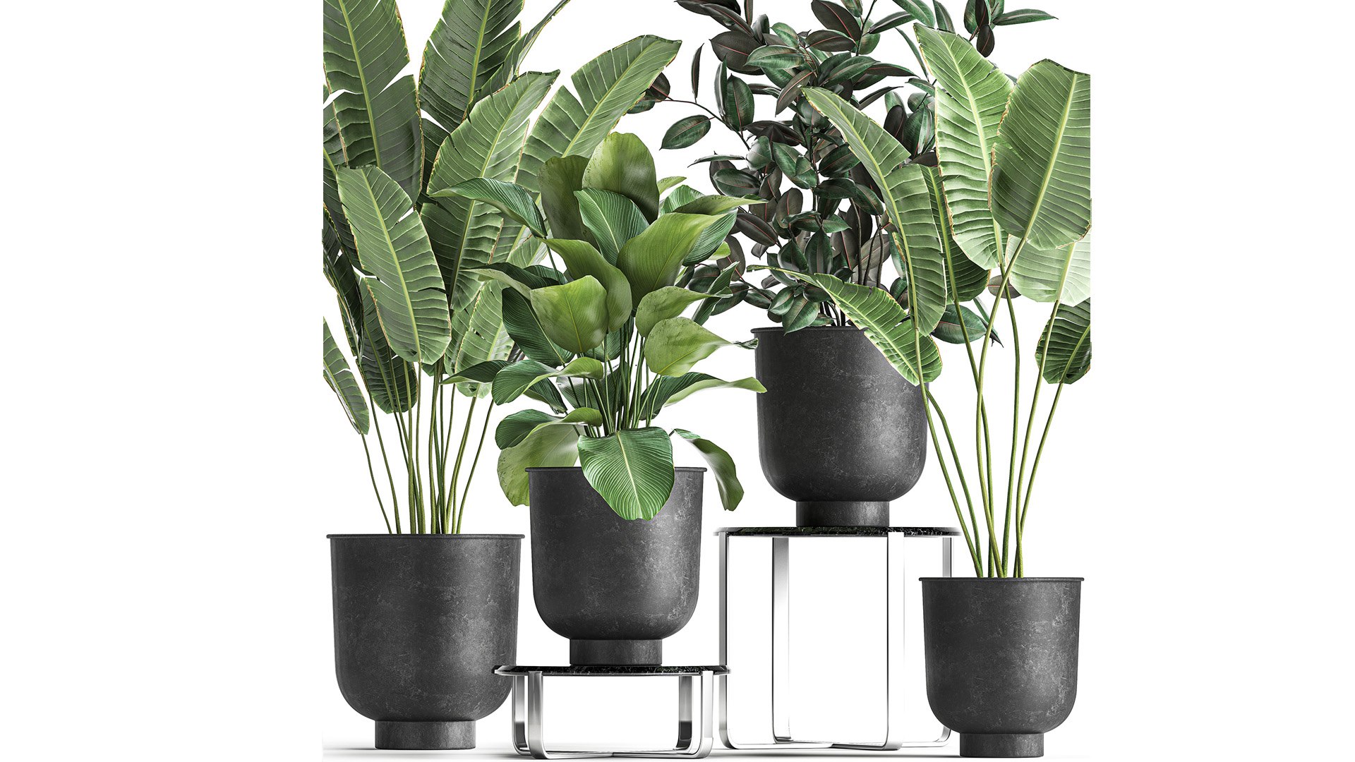 3D plants interior pots planter model https://p.turbosquid.com/ts-thumb/N5/yB6twL/bK/1plants22502202101/jpg/1614350167/1920x1080/fit_q87/fb6fcc91363e9bf8b5ea75bec990b457065422c0/1plants22502202101.jpg