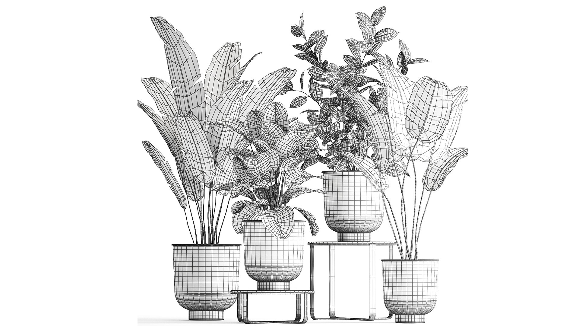 3D plants interior pots planter model https://p.turbosquid.com/ts-thumb/N5/yB6twL/l3/1plants22502202109/jpg/1614350166/1920x1080/fit_q87/37dd77a8c9820a0fc4bfeb444740d6916da3e4db/1plants22502202109.jpg