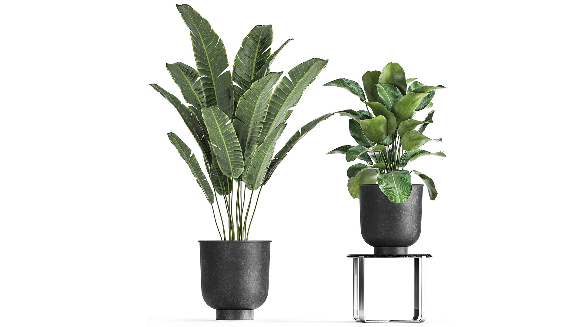 3D plants interior pots planter model https://p.turbosquid.com/ts-thumb/N5/yB6twL/m9/1plants22502202103/jpg/1614350170/1920x1080/fit_q87/fa7bb6c56c659ff97b744f7049b2e5b2b39e17d9/1plants22502202103.jpg