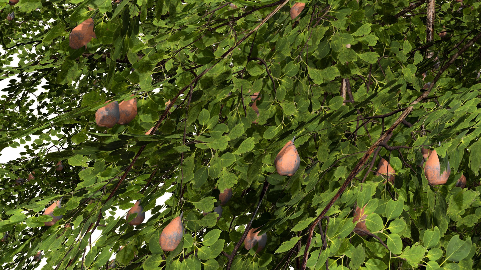 3D Wild Pear Tree 3D Model Pack https://p.turbosquid.com/ts-thumb/N5/zUVbtA/3e/greenbigscaletreewithfruitz23l/jpg/1759569438/1920x1080/fit_q87/2a8b192777a919abdc2a9bd3f8ec4f52c4251076/greenbigscaletreewithfruitz23l.jpg