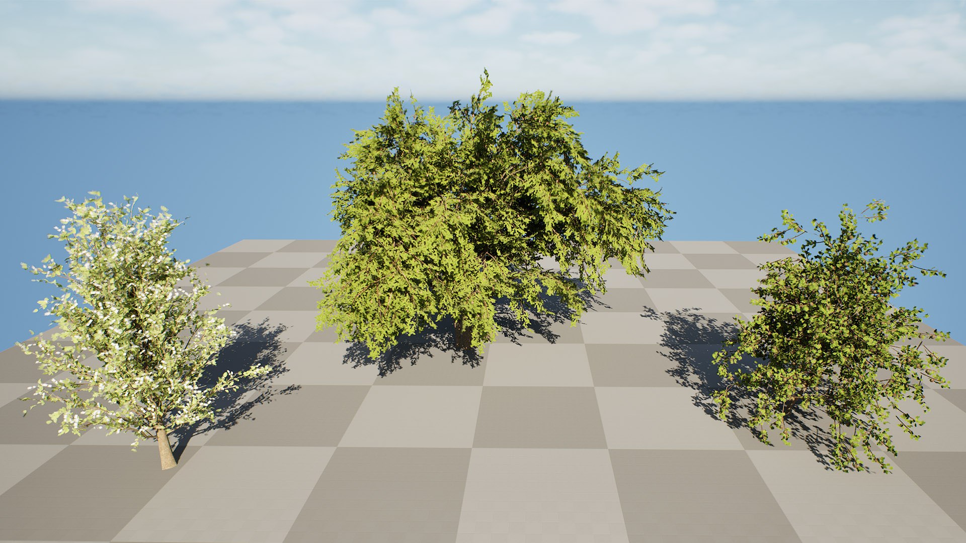 3D Wild Pear Tree 3D Model Pack https://p.turbosquid.com/ts-thumb/N5/zUVbtA/K0/highresscreenshot00007/jpg/1759569437/1920x1080/fit_q87/2f48ef2cbd3fa99f70b8054c4ef7f9b8f2e6be0f/highresscreenshot00007.jpg