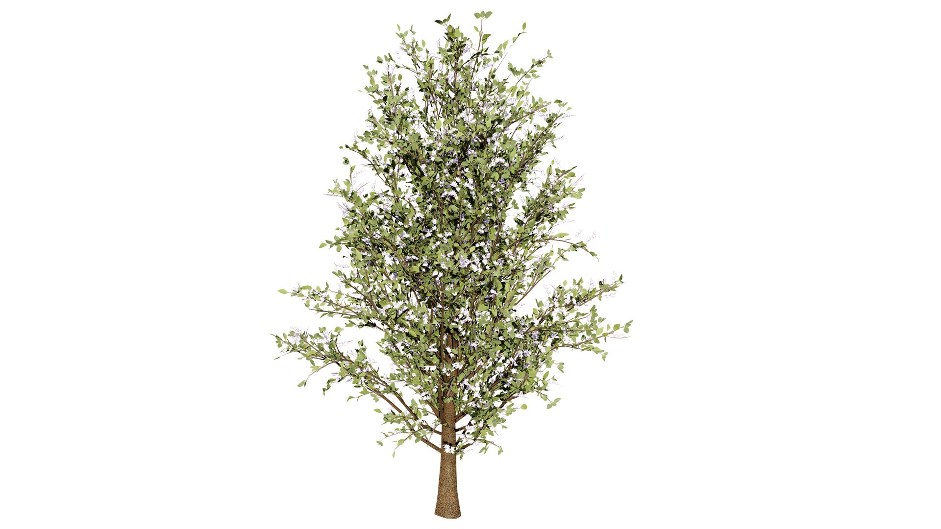 3D Wild Pear Tree 3D Model Pack https://p.turbosquid.com/ts-thumb/N5/zUVbtA/MP/floweringplymouthpeartreel/jpg/1759569424/1920x1080/fit_q87/132c3ce0d74027e87f2651726bf620bc56a5efed/floweringplymouthpeartreel.jpg