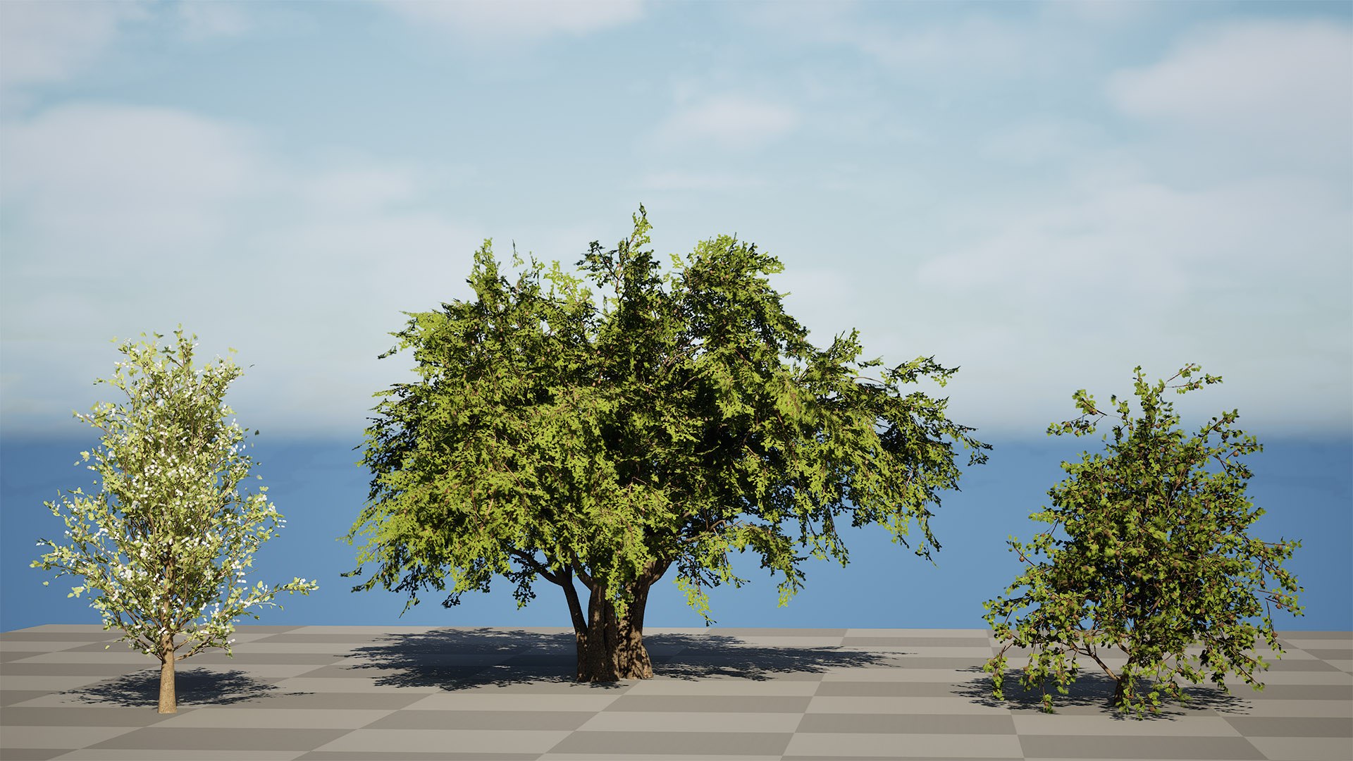 3D Wild Pear Tree 3D Model Pack https://p.turbosquid.com/ts-thumb/N5/zUVbtA/UC/highresscreenshot00000/jpg/1759569435/1920x1080/fit_q87/c44c6452dc887bd856e7615caa02d447cdaf84dc/highresscreenshot00000.jpg