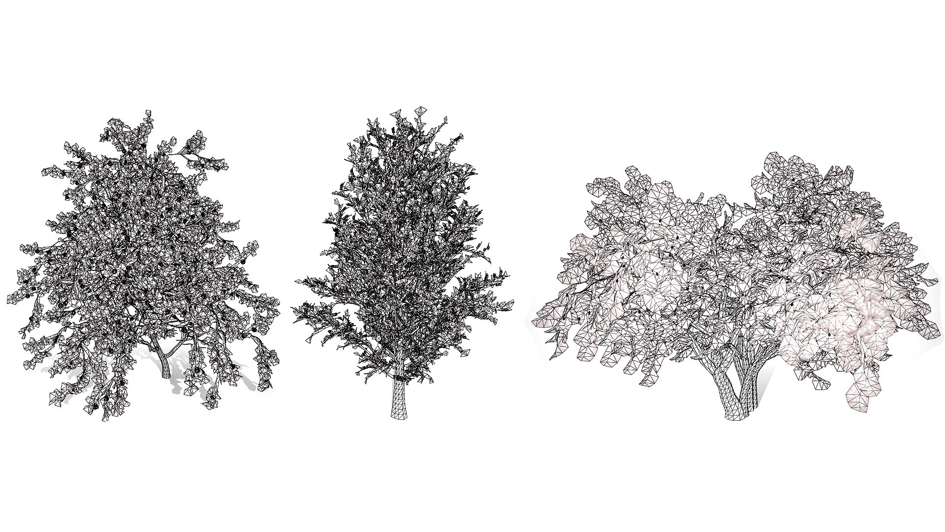 3D Wild Pear Tree 3D Model Pack https://p.turbosquid.com/ts-thumb/N5/zUVbtA/Zo/wirel/jpg/1759569441/1920x1080/fit_q87/b2b745750b03470f3f3453e6427ba9b8c6ef8b68/wirel.jpg