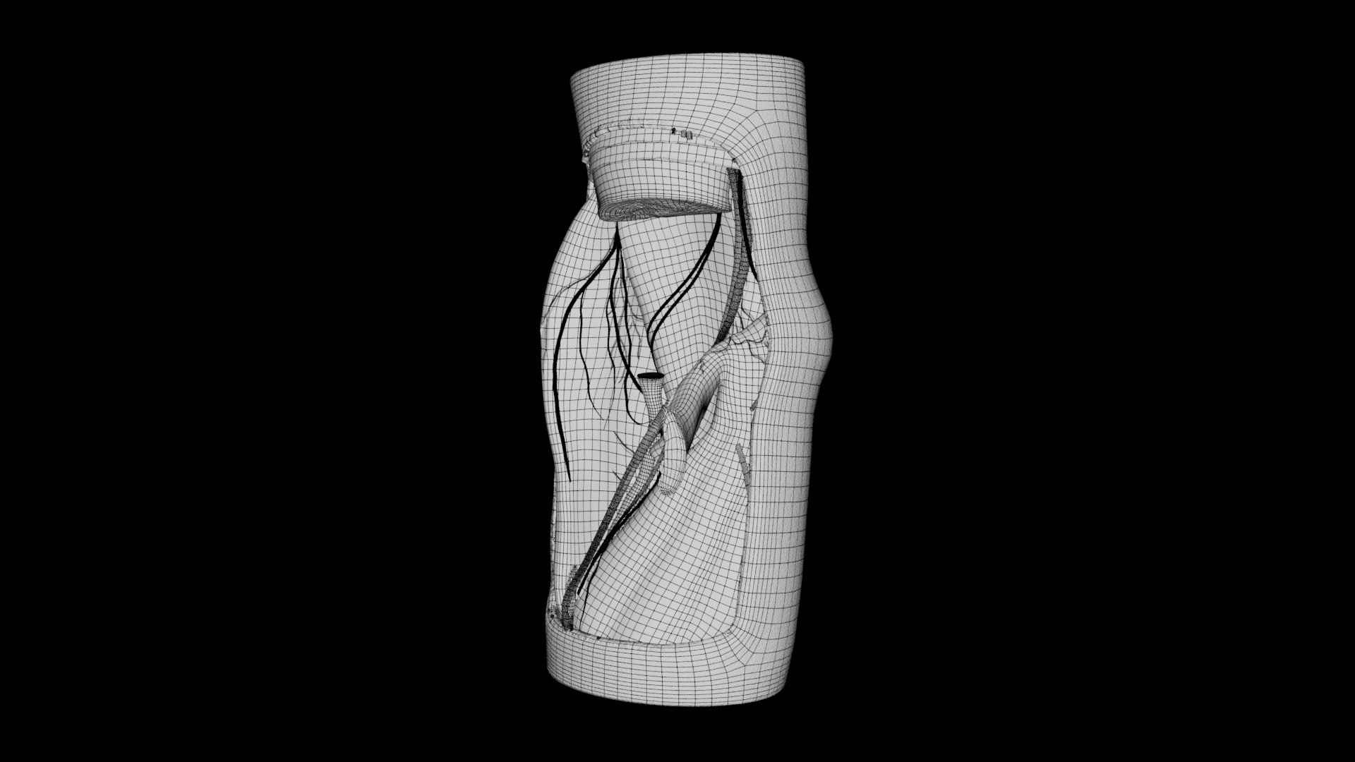 3D Human Anatomy-Nervous System-Deep Cubital Fossa - TurboSquid 2218372