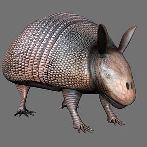 Mighty the Armadillo - 3D model by Spex130 (@spex130) [f4a7eb7]