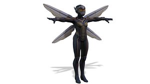 Wasp