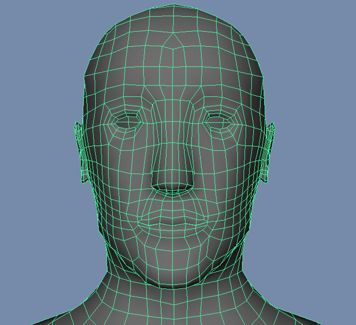 3d Basic Human Male Body