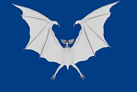 Bat
