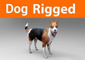 dog rigged