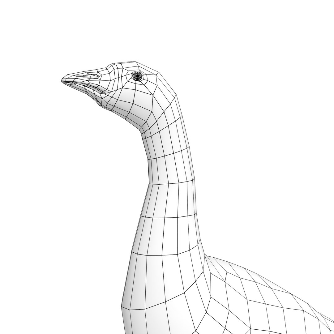 bird duck goose rig model https://p.turbosquid.com/ts-thumb/N6/mKDhhd/0ryLnjsJ/10110/png/1534429866/1920x1080/fit_q87/35725c90e783316145de4dd581dcd928cc5b60fa/10110.jpg