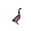 Modello Duck Bird Goose Rig