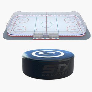 Ice Hockey Puck and Rink 3D