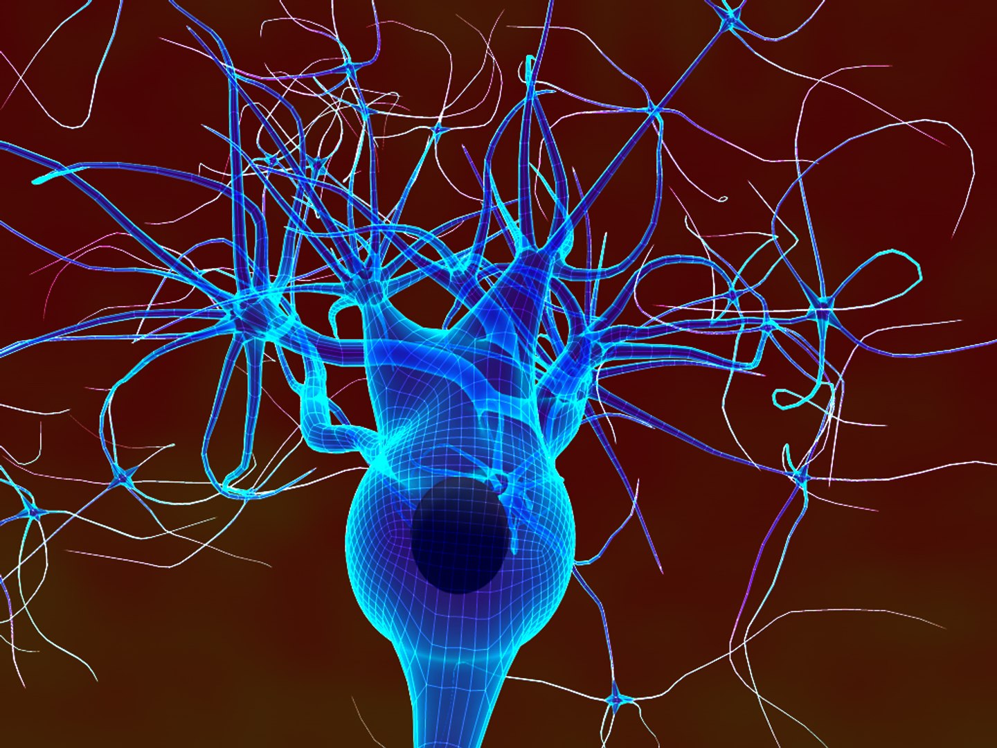 neuron nucleus myelin 3ds https://p.turbosquid.com/ts-thumb/N6/vjDbNr/Kol66Pzh/neuron05/jpg/1306140310/1920x1080/fit_q87/bbedd2951c5cc05b8854d5882af0bfadd93496e4/neuron05.jpg