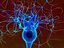 Neuron