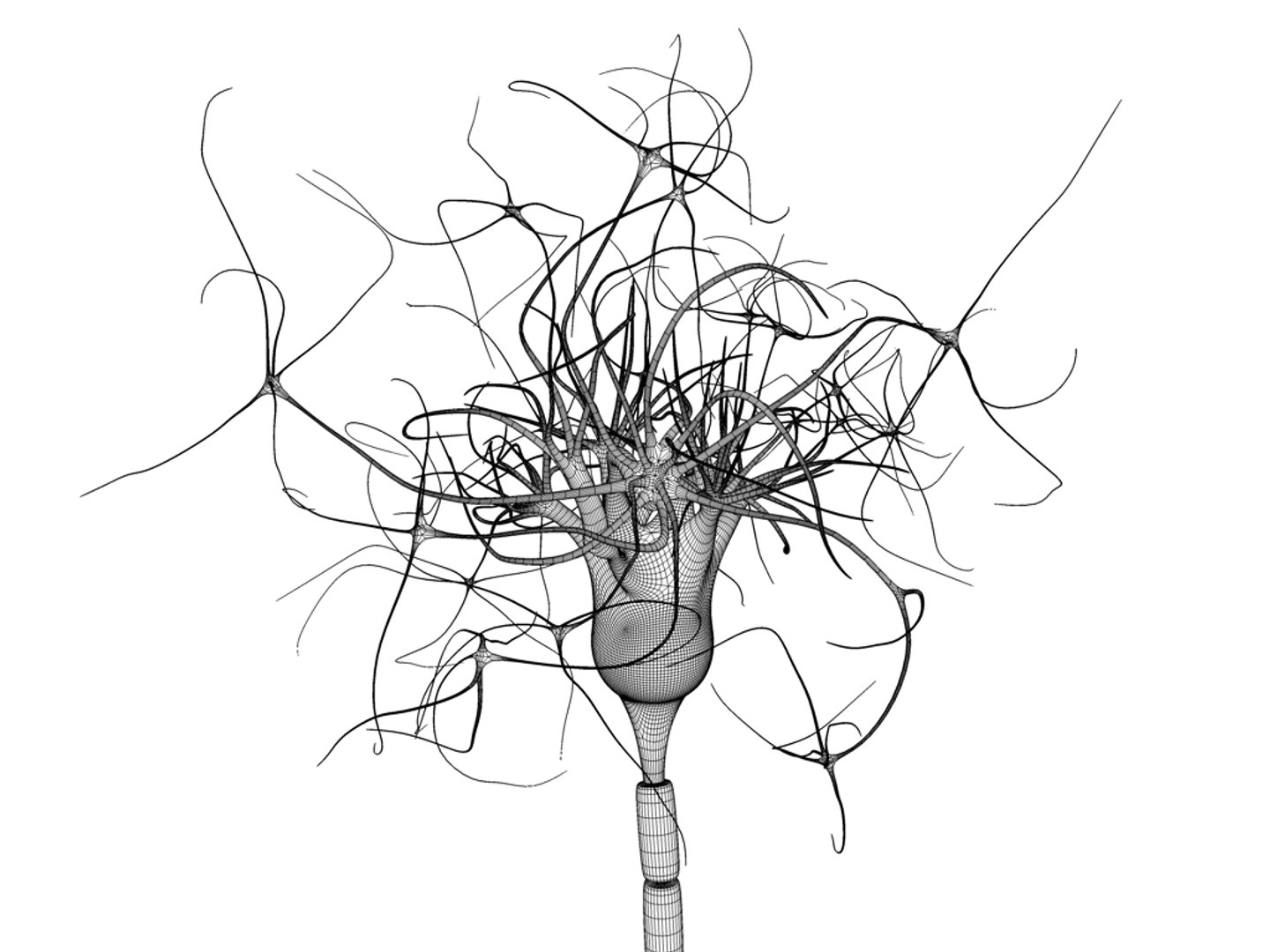 neuron nucleus myelin 3ds https://p.turbosquid.com/ts-thumb/N6/vjDbNr/agxdXZXw/neuron03/jpg/1306140309/1920x1080/fit_q87/a0827e6492bad271f940372175778cdf26108816/neuron03.jpg