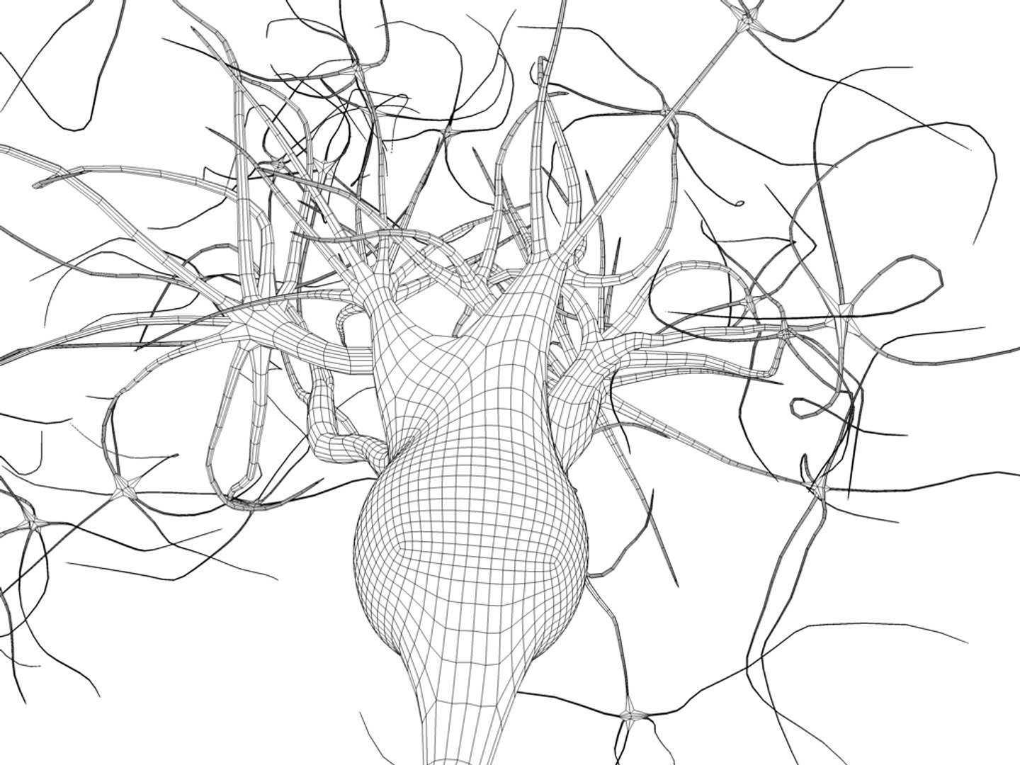 neuron nucleus myelin 3ds https://p.turbosquid.com/ts-thumb/N6/vjDbNr/c5MNyDPM/neuron06/jpg/1306140310/1920x1080/fit_q87/57616824318752e76dc0e253e73c25c9c26c390a/neuron06.jpg