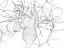 Neuron