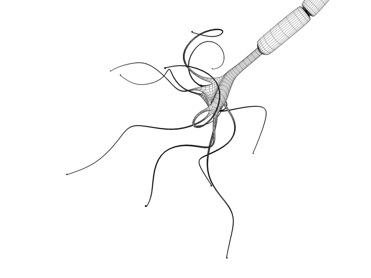 neuron nucleus myelin 3ds https://p.turbosquid.com/ts-thumb/N6/vjDbNr/oljUecsN/neuron07/jpg/1306140310/1920x1080/fit_q87/3de601166f9a42e5ae7d8211abf4ab24e639cb15/neuron07.jpg