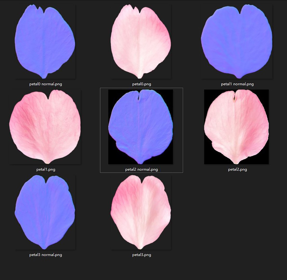 3D Flying Petals Pack https://p.turbosquid.com/ts-thumb/N6/wA4Fqn/44/texture/jpg/1650541207/1920x1080/fit_q87/be83bc9fe1f7f36c57479749dd88734605ec4d76/texture.jpg