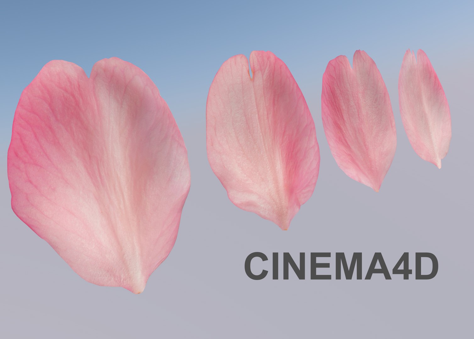 3D Flying Petals Pack https://p.turbosquid.com/ts-thumb/N6/wA4Fqn/Kj/huaban2/jpg/1650540941/1920x1080/fit_q87/6010a9b66b4c872d18d3c4b1f994ae11df825b03/huaban2.jpg