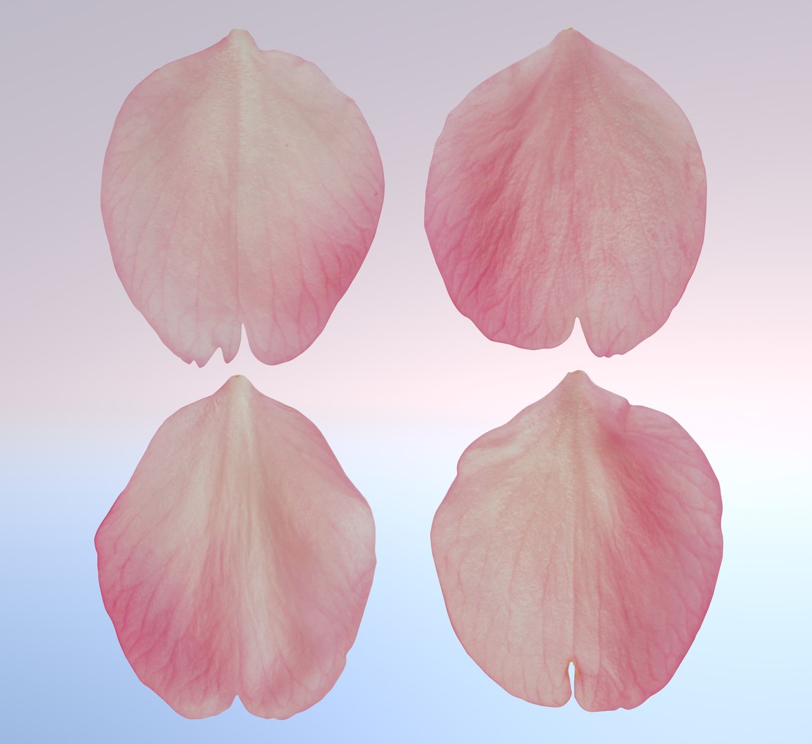 3D Flying Petals Pack https://p.turbosquid.com/ts-thumb/N6/wA4Fqn/Ry/huabanindex1/jpg/1650540987/1920x1080/fit_q87/0f6280202a2954387914c1d587ce8fc3110ee0dd/huabanindex1.jpg