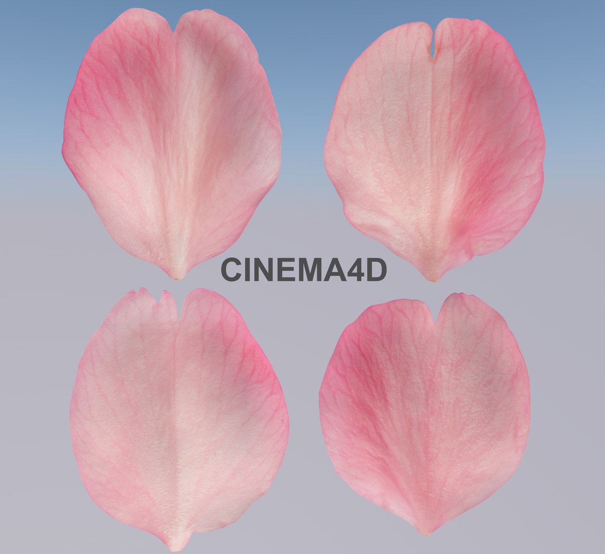 3D Flying Petals Pack https://p.turbosquid.com/ts-thumb/N6/wA4Fqn/c7/huabanindex/jpg/1650540924/1920x1080/fit_q87/cffe336ef55643f5890cc0f6839b1e589c60ca4a/huabanindex.jpg