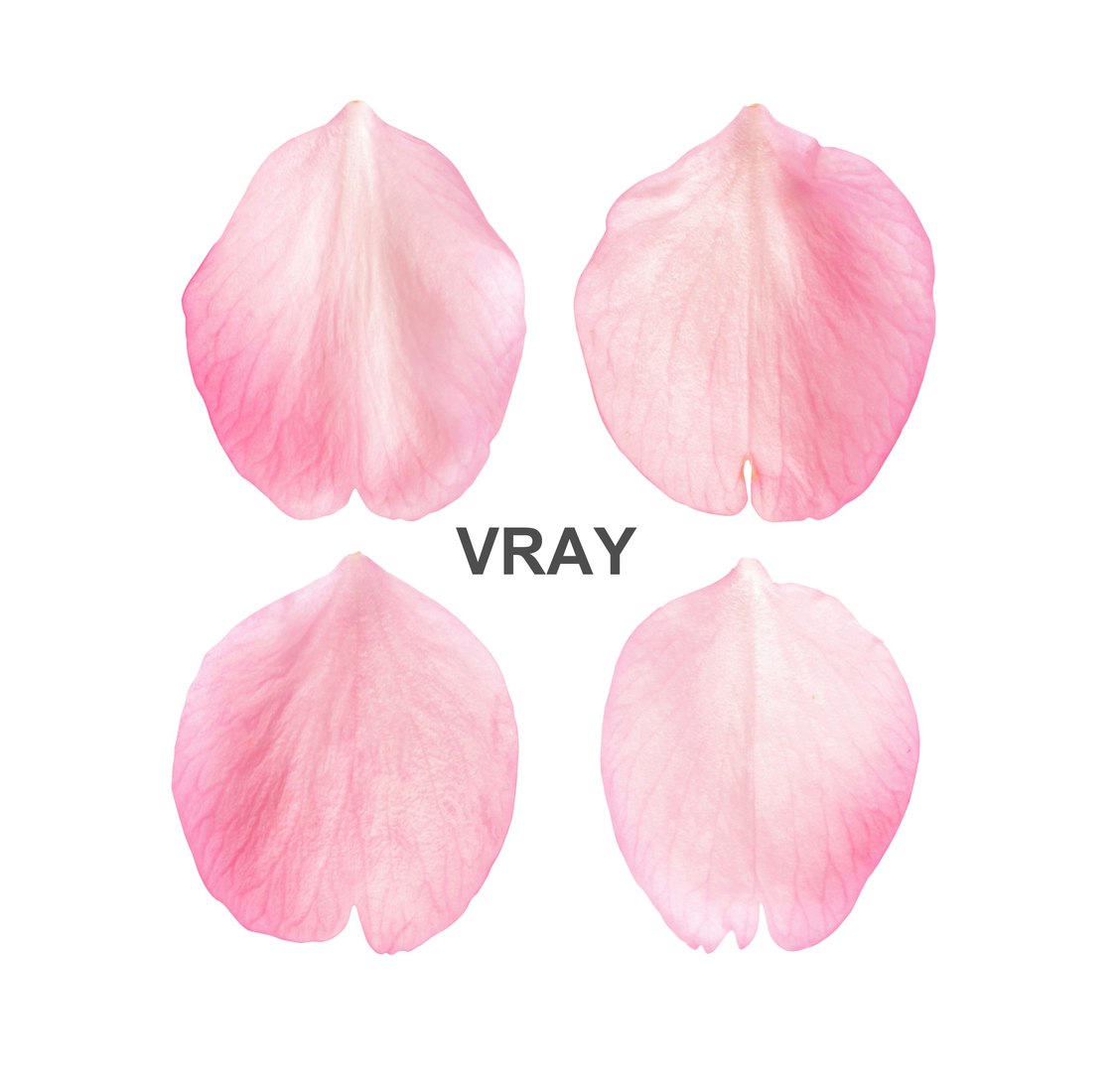3D Flying Petals Pack https://p.turbosquid.com/ts-thumb/N6/wA4Fqn/mN/petalvray2/jpg/1650540230/1920x1080/fit_q87/77743b9c316506355ad0912f794930ef9411dc16/petalvray2.jpg