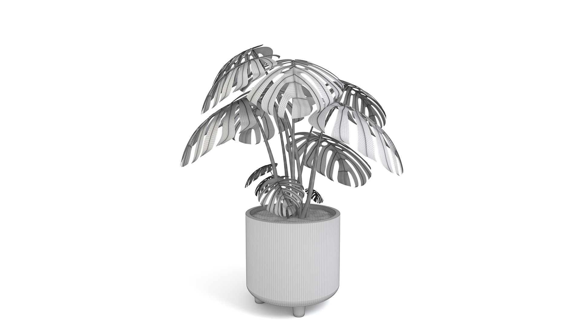 3D Monstera Tropical Pot planter indoor Outdoor model https://p.turbosquid.com/ts-thumb/N6/z3btqn/1Q/8/jpg/1730435529/1920x1080/fit_q87/bb53260ec0c86659b5684a179ed0d6a51682af42/8.jpg