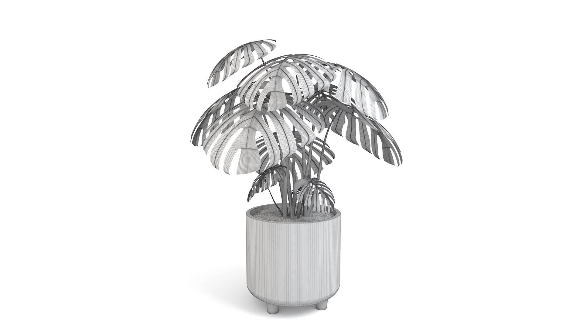 3D Monstera Tropical Pot planter indoor Outdoor model https://p.turbosquid.com/ts-thumb/N6/z3btqn/Ir/7/jpg/1730435061/1920x1080/fit_q87/71777124682e43b9b5be83d7d2b02bfe81ec4c43/7.jpg