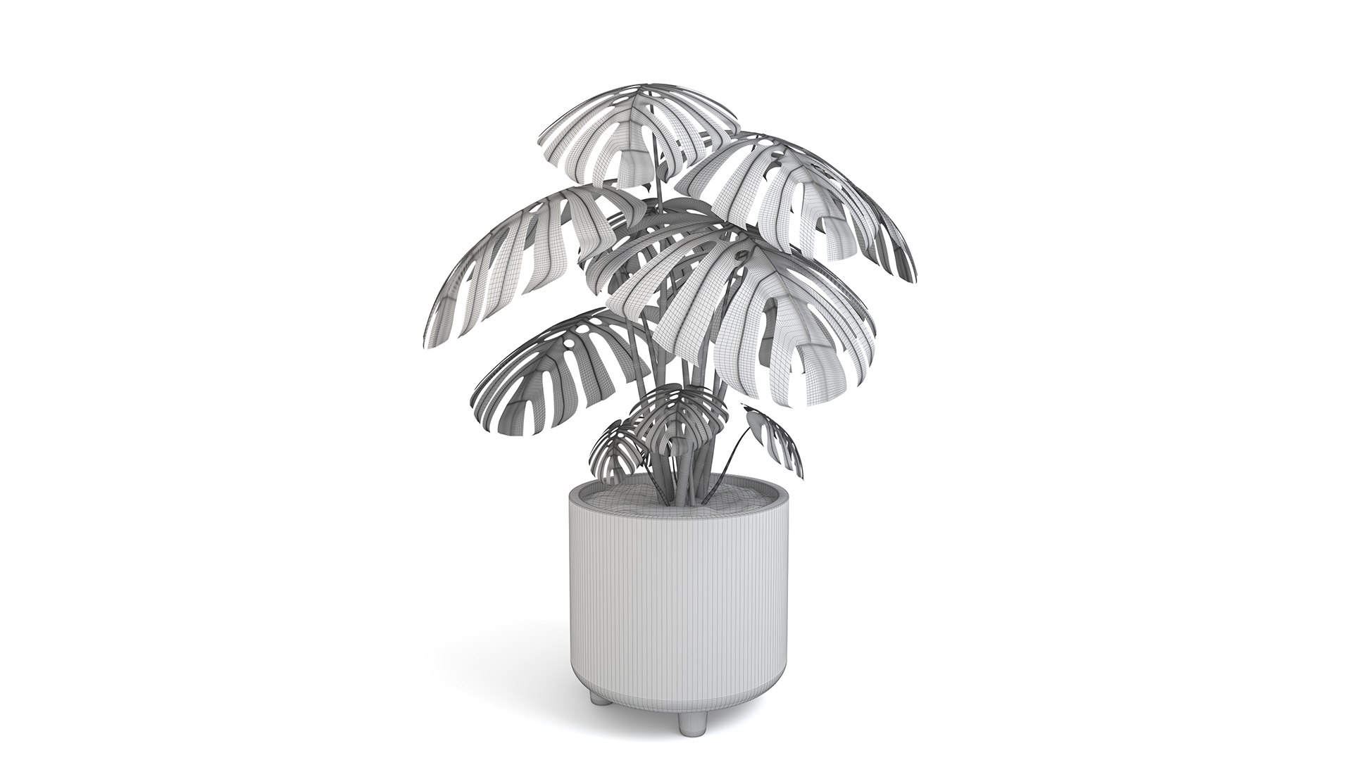 3D Monstera Tropical Pot planter indoor Outdoor model https://p.turbosquid.com/ts-thumb/N6/z3btqn/Ym/6/jpg/1730435004/1920x1080/fit_q87/4fe36eeab4d8b532241e6b0bcef1c7630a977258/6.jpg