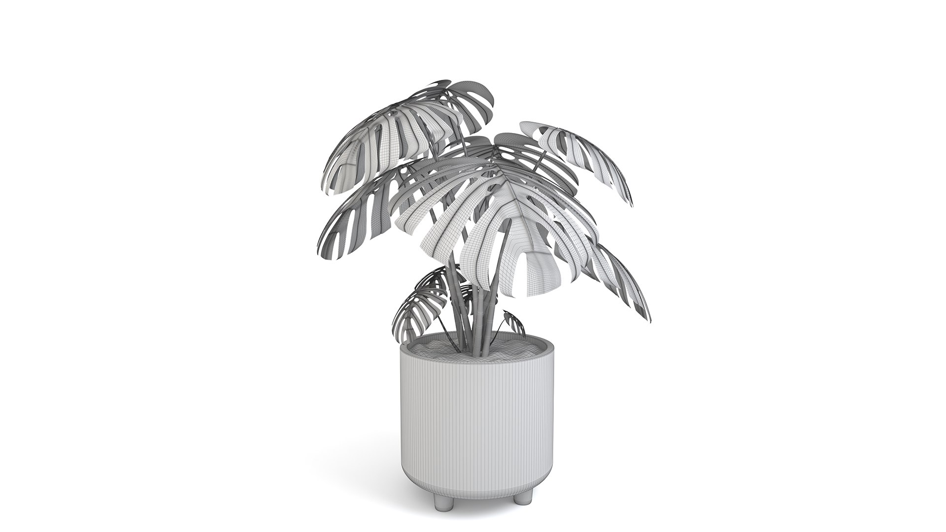 3D Monstera Tropical Pot planter indoor Outdoor model https://p.turbosquid.com/ts-thumb/N6/z3btqn/pS/11/jpg/1730436186/1920x1080/fit_q87/9f618bcb3450e66e37a0bb8c91826d2bc2b192d3/11.jpg