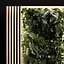 Tablones de madera y jardín vertical.