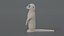meerkat ready model